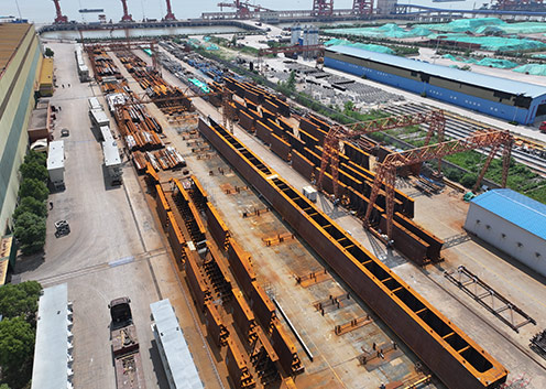 VALE Railway Bridge（Brazil）