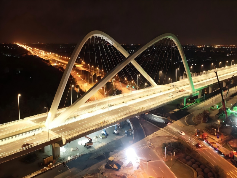 Lingang Avenue Landscape Bridge